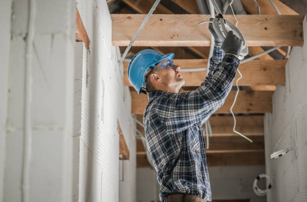 Best Electrician for Home Renovation  in Mertzon, TX
